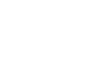 visa-icon